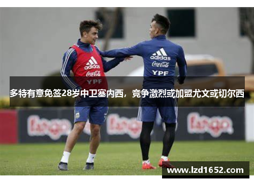 多特有意免签28岁中卫塞内西，竞争激烈或加盟尤文或切尔西